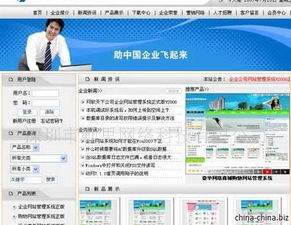 專業(yè)軟件開發(fā)服務(wù)與知識產(chǎn)權(quán)保護